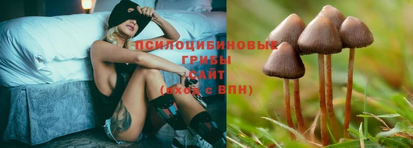 прущая мука Абаза