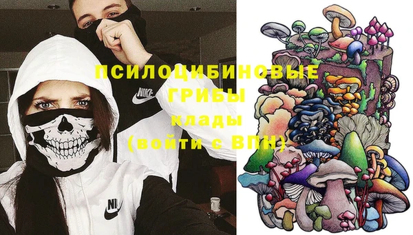 прущая мука Абаза