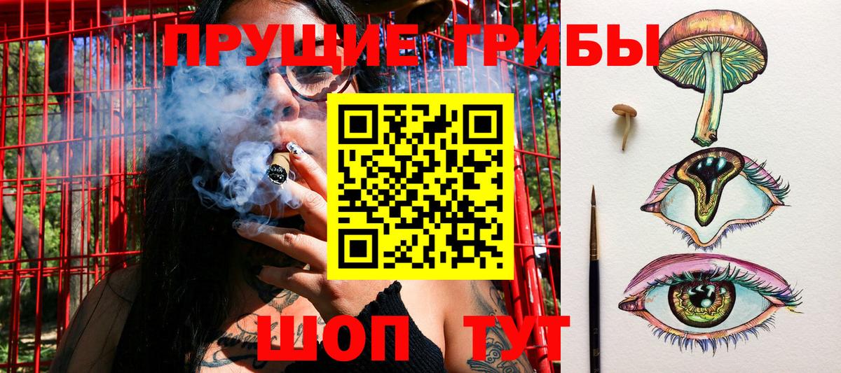 Галлюциногенные грибы мицелий Новочеркасск