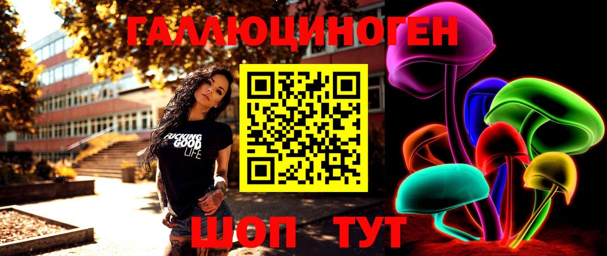 Галлюциногенные грибы Psilocybe  Вход с VPN  Новочеркасск 